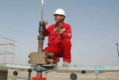 API Hot Sale Oil Drilling Well Head Tools
